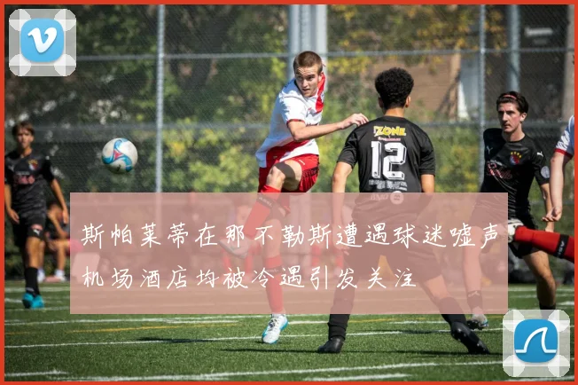 斯帕莱蒂在那不勒斯遭遇球迷嘘声机场酒店均被冷遇引发关注