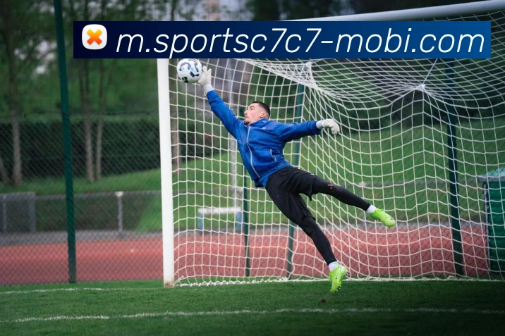 C7C7娱乐平台生态图